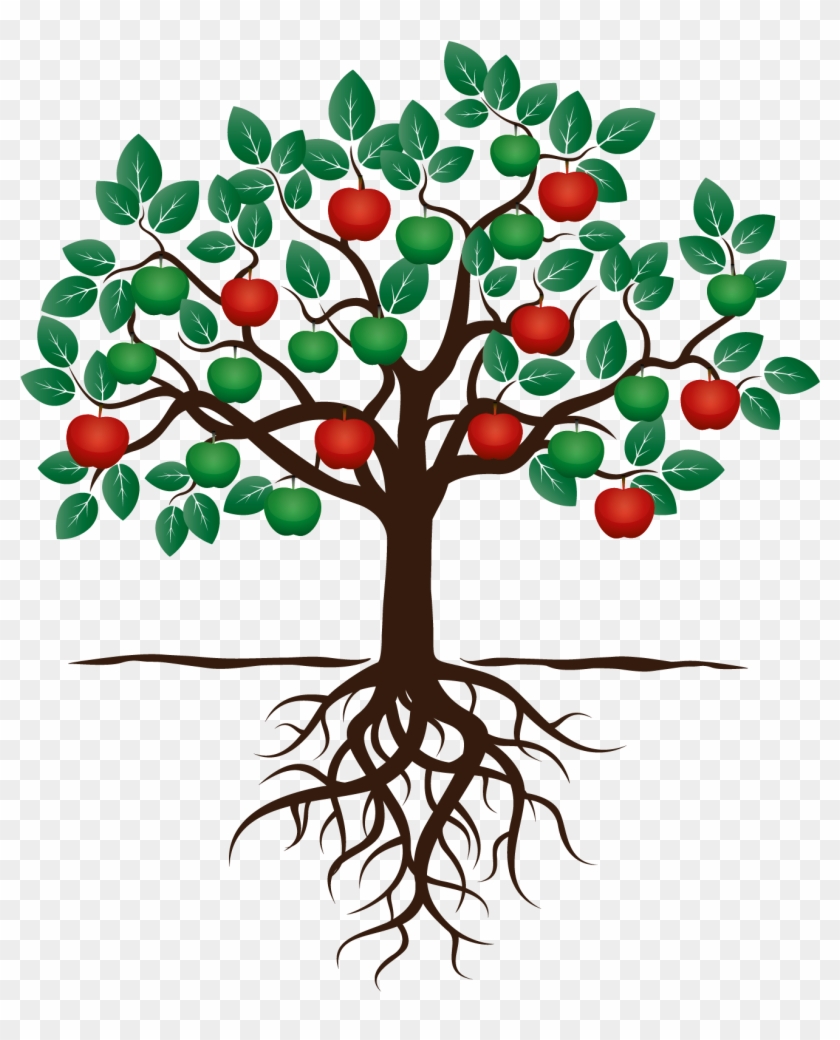 Fruit Tree Drawing Apple Root - Fruit Tree With Roots Clipart