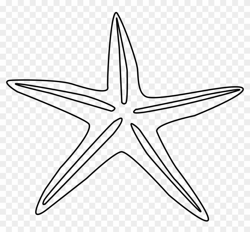 Png Starfish Black And White Transparent Starfish Black - Starfish Drawing Black And White Clipart #418814