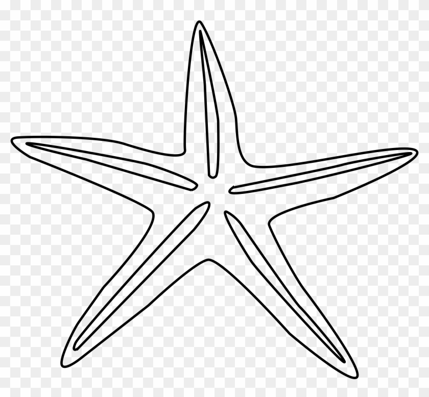 Png Starfish Black And White Transparent Starfish Black - Starfish Drawing Black And White Clipart