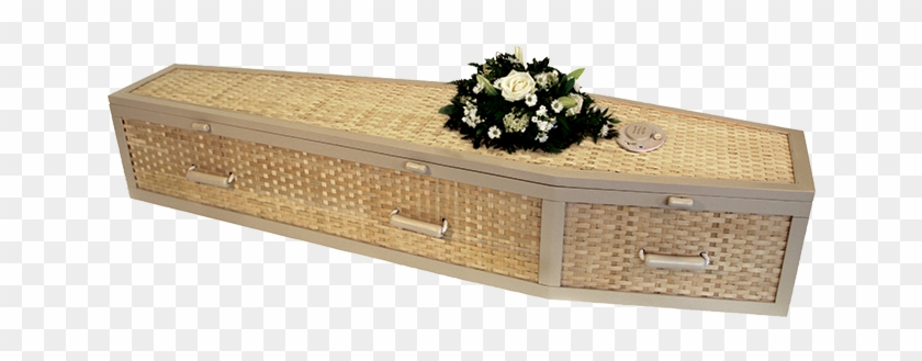 Daisy Bamboo - Drawer Clipart