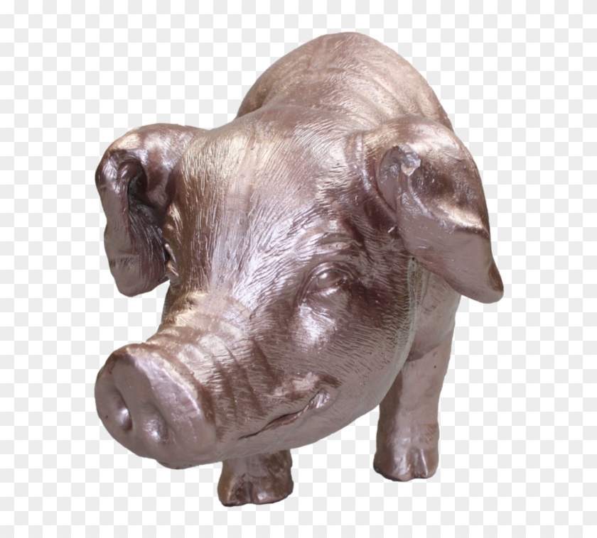 Hippopotamus , Png Download - Domestic Pig Clipart