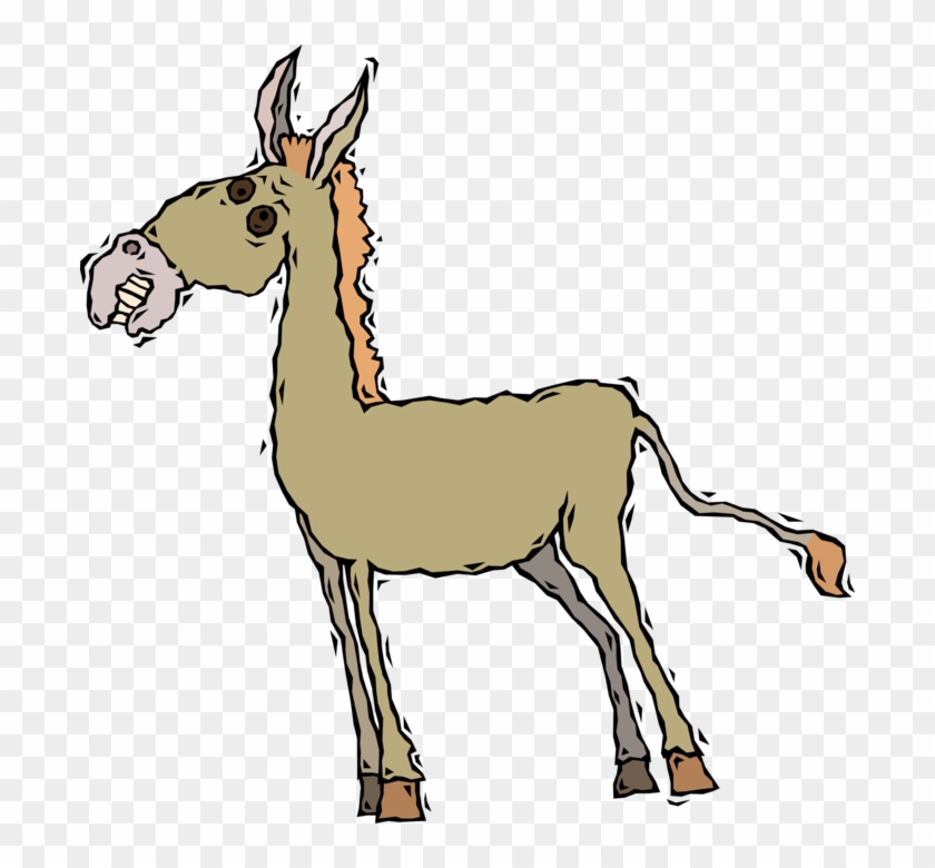 Vector Illustration Of Jackass Male Donkey Ass Domesticated - Tall Donkey Clipart #4101745