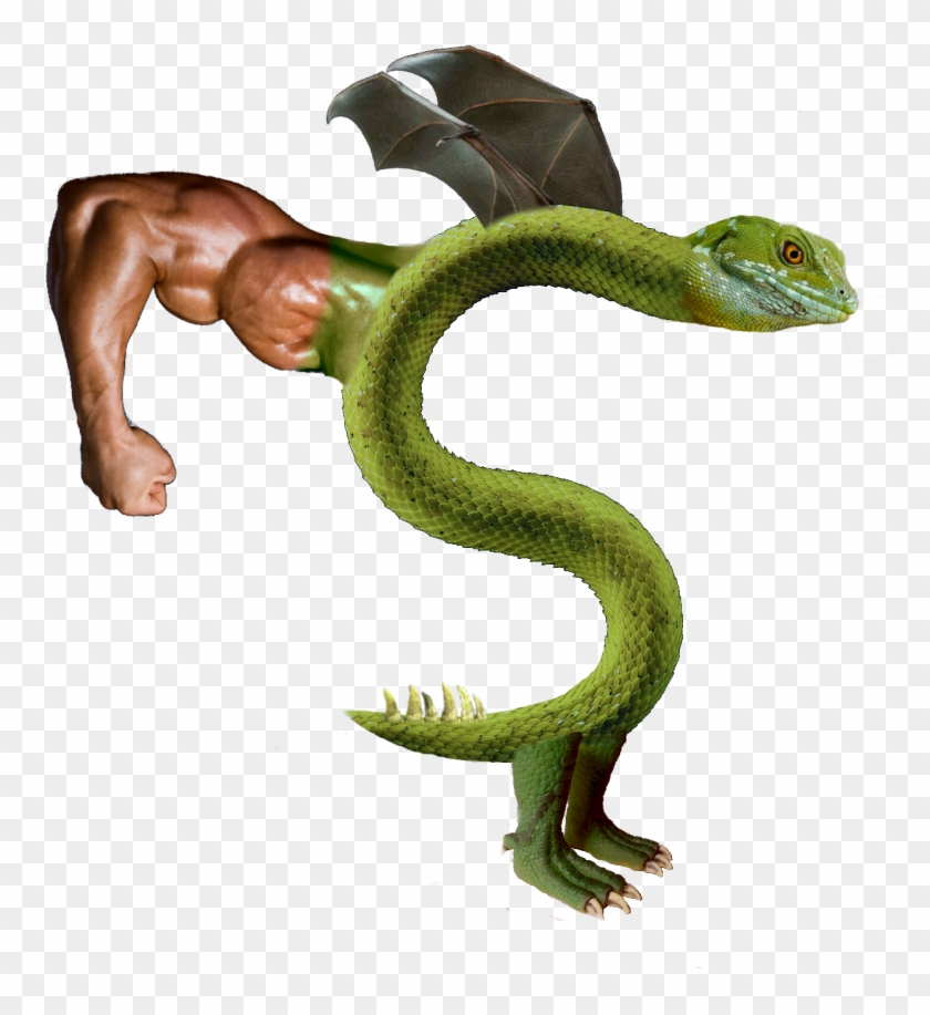 Trogdor - Snake Clipart