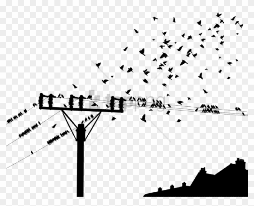 Free Png Desenho De Passaros Nos Fios Png Image With - Birds On A Wire Png Hd Clipart