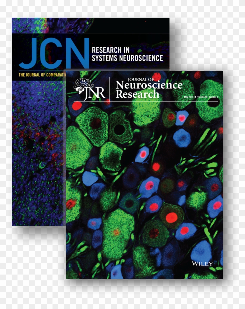 Stereo Investigator - - Science Book Clipart #4103261