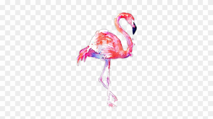 #scflamingos #flamingos #stickers #edit #edits #png - Transparent Background Flamingo Png Clipart