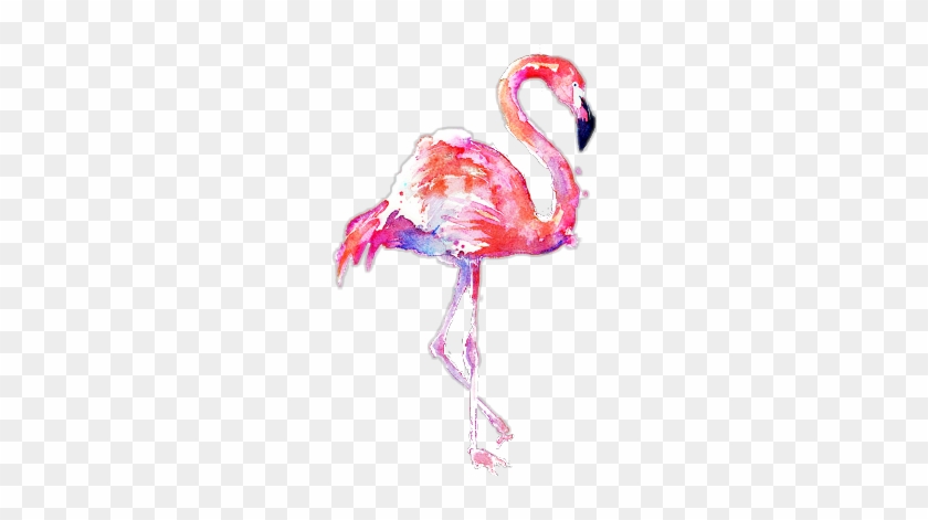 #scflamingos #flamingos #stickers #edit #edits #png - Transparent Background Flamingo Png Clipart #4104859