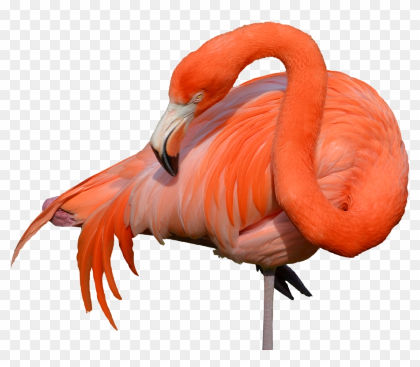 Stock Photography Clipart