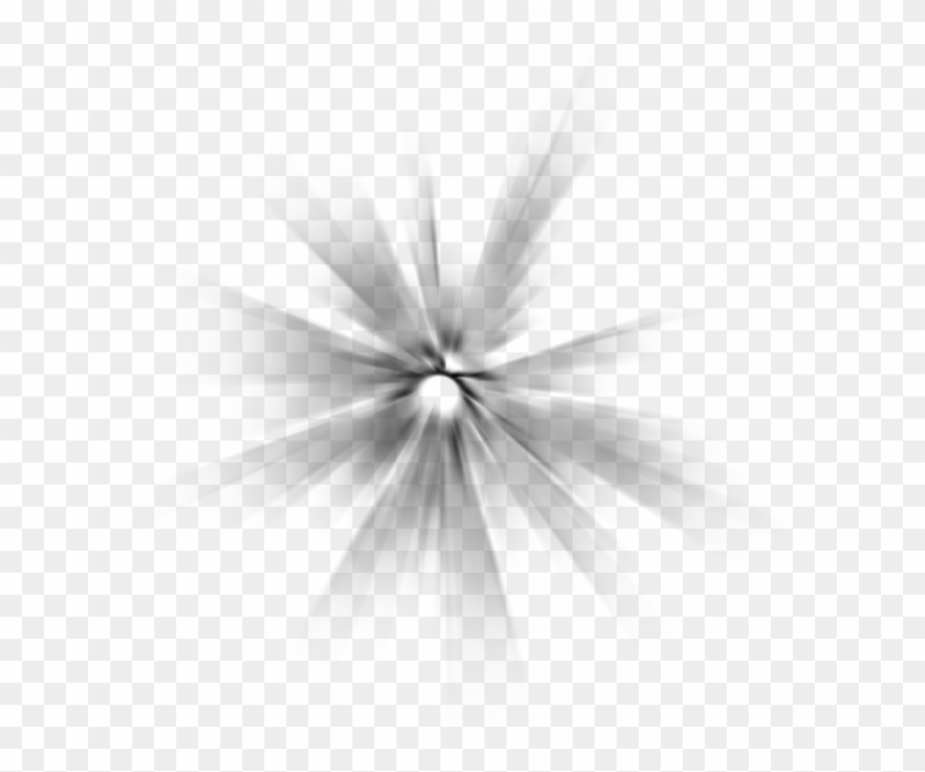 Lumiere - Monochrome Clipart