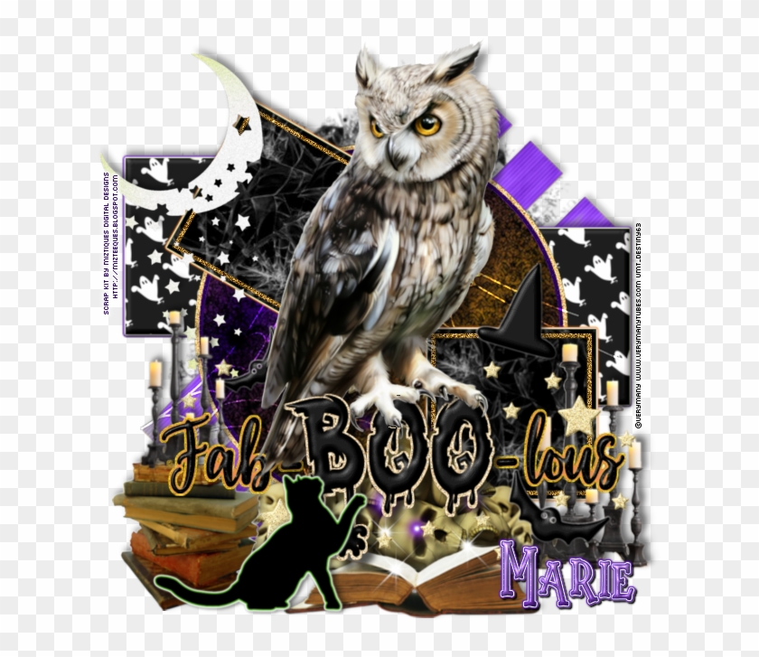 Faboolous - Western Screech Owl Clipart #4106635