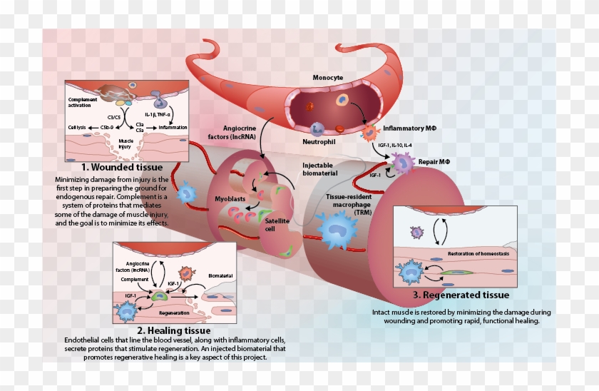Understanding That Process Is Critical To Being Able - Cartoon Clipart