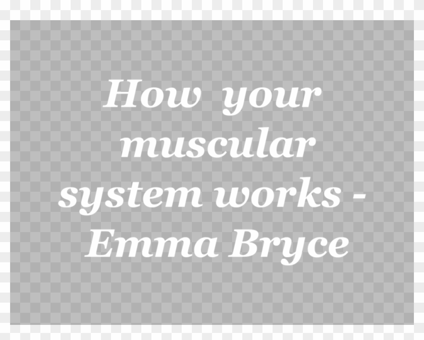 Of Studio Vli - Calligraphy Clipart #4109858