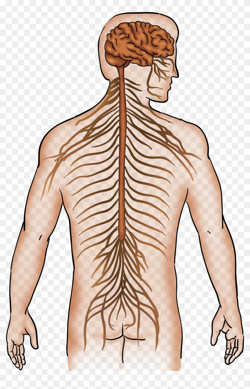 Man Clipart #4110359