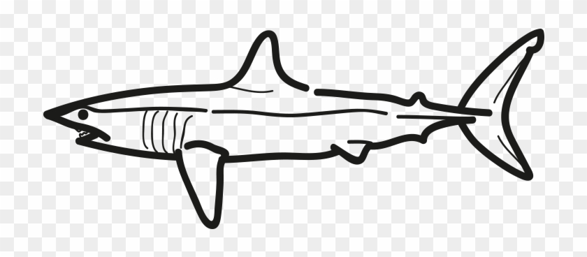 Mako Shark - Mako Shark Clipart - Png Download #4111395