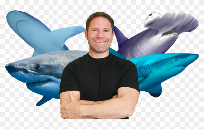 Shark Bites - Steve Backshall Shark Bite Clipart #4111793