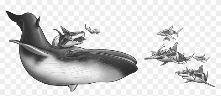 Indi Shiver - Shark Wars Finnivus Clipart