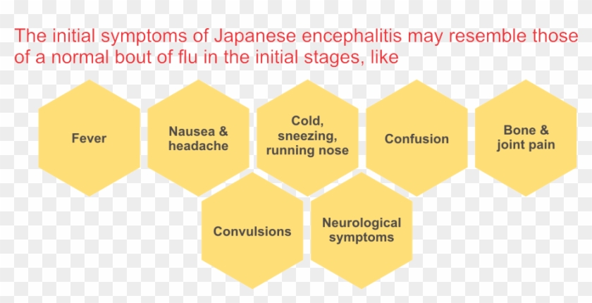 Why Is A Vaccine Required - Graphic Design Clipart