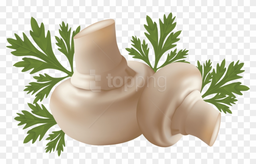 Free Png Download Mushroom Clipart Png Photo Png Images - Free Vector Vegetables Transparent Png #4114613