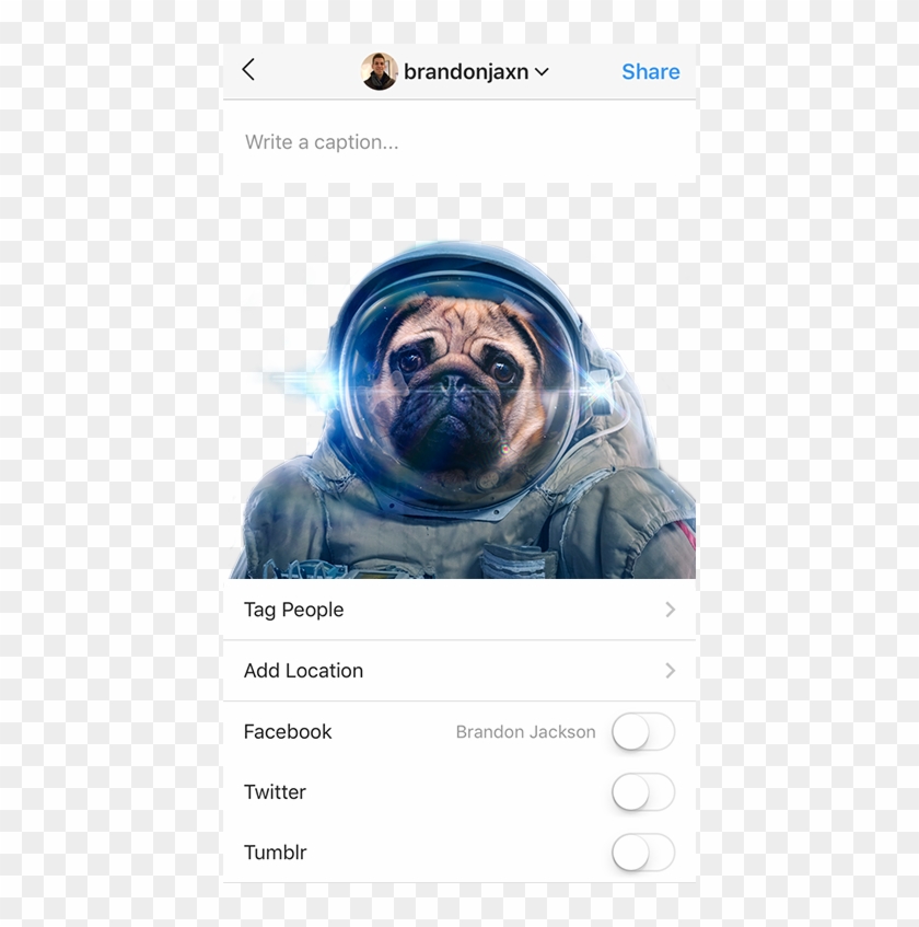 Space Dog Clipart #4114892