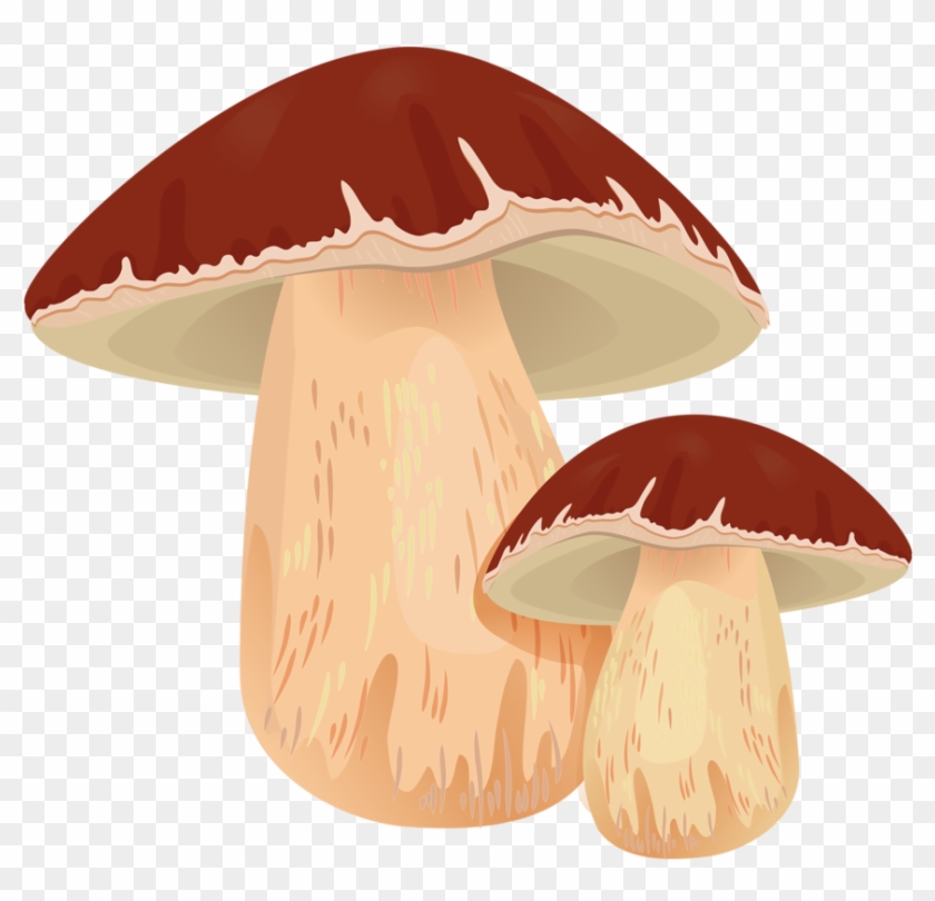 Drawing Mushrooms Shiitake Mushroom - Mushroom Clipart #4115058