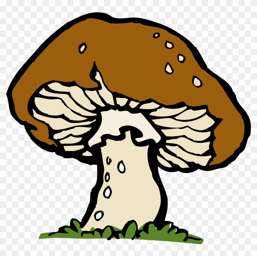 Mushrooms Vector Mushroom Clipart - Mushroom Clip Art - Png Download #4115156