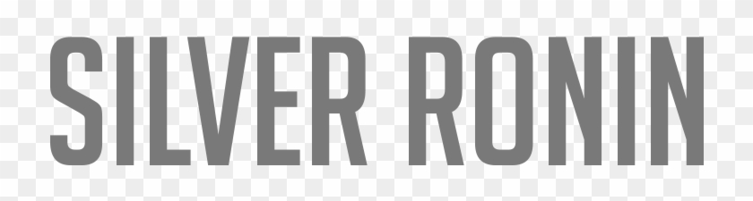 Silver Ronin Llc - Rocket Internet Clipart #4115713