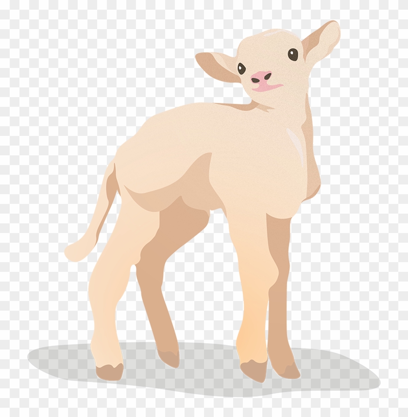 Flat Vector Farm Animals - Calf Clipart #4115833