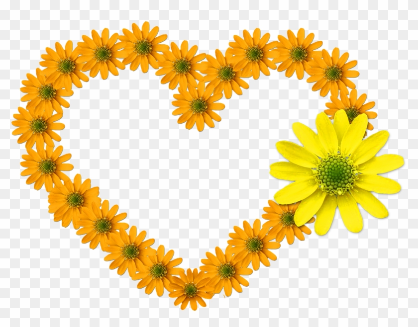 Heart Flower Heart Bloom Feelings Flowers - Greeting Card Clipart