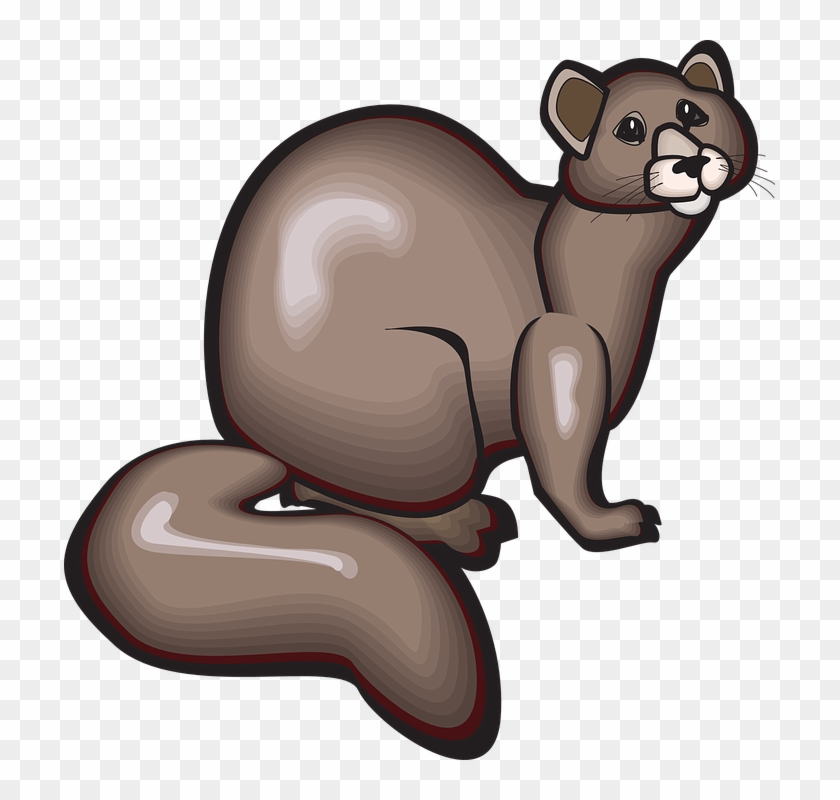 Animal Tail Whiskers Shine Sable - Mink Clipart Png Transparent Png #4118212