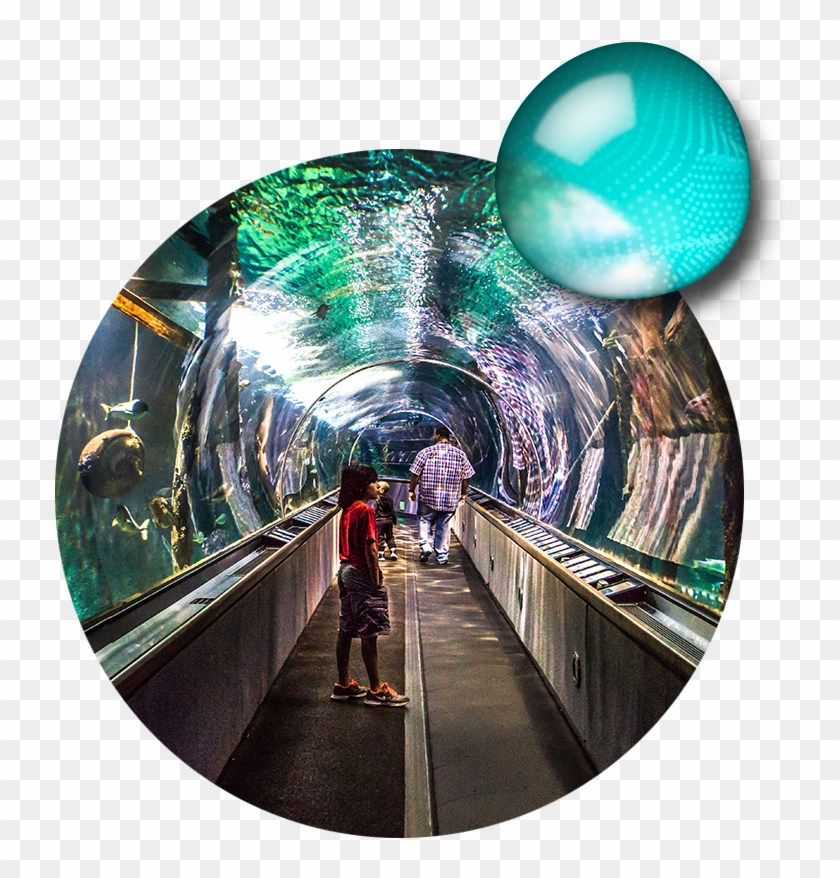 Besbswy - Tunnel Clipart