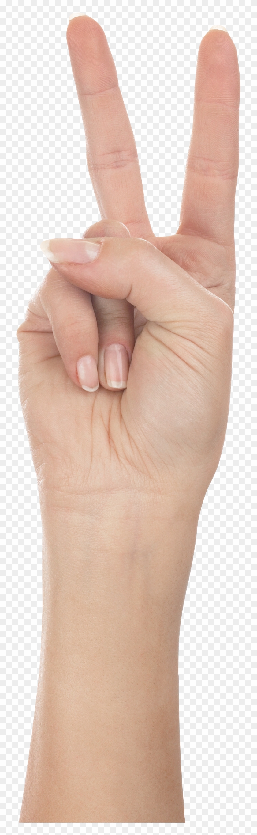 Two Hands Png - Thumb Clipart #4120336