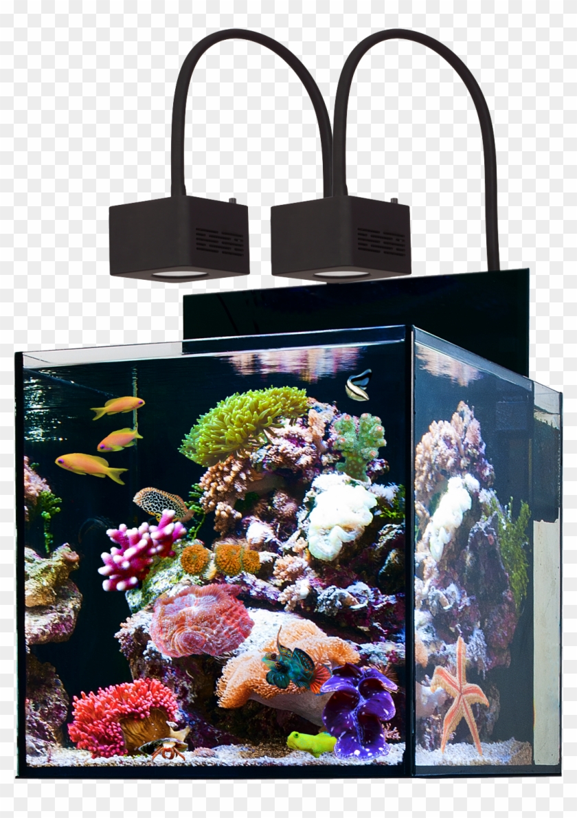 Acuario Cubicus Qube Aqua Medic - Aqua Medic Cubicus 140 Clipart #4120505