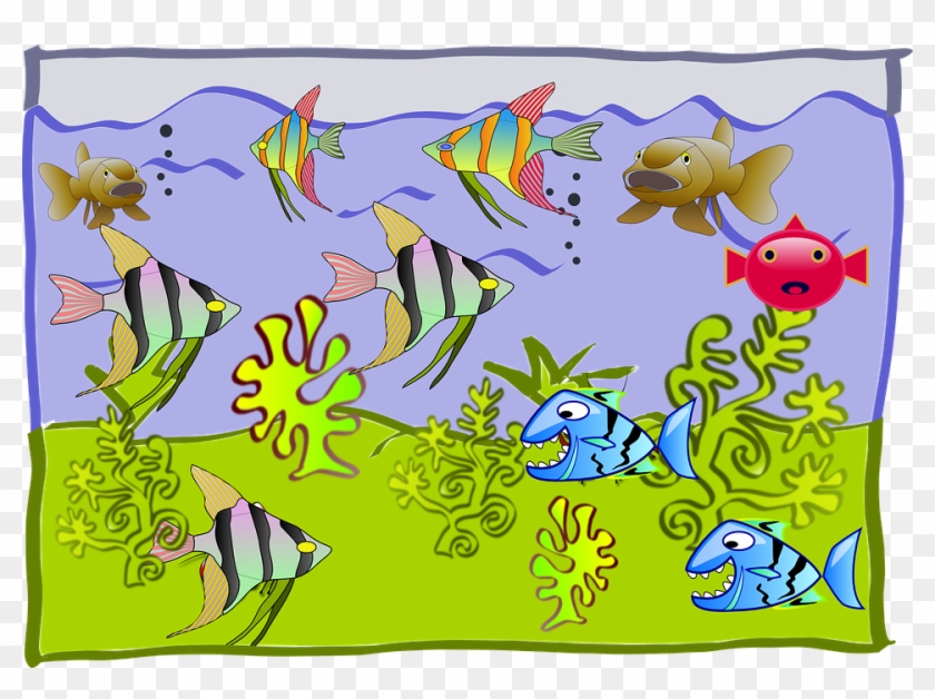 Como Se Sentirán Vivindo Tan Lonxe Da Súa Casa - Drawing On Fish Tank Clipart #4120655