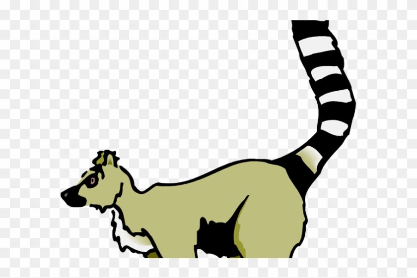 Tail Country Madagascar Picture - Lemur Clipart Black And White - Png Download