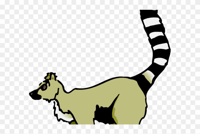 Tail Country Madagascar Picture - Lemur Clipart Black And White - Png Download #4121007