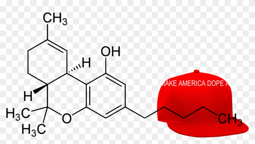 Make America Dope Again - Thc Molecular Structure Clipart #4121289