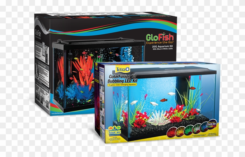 Aquarium Kits Make Setting Up Quick And Easy Also, - 10 Gallon Glofish Tetra Tank Clipart #4121430