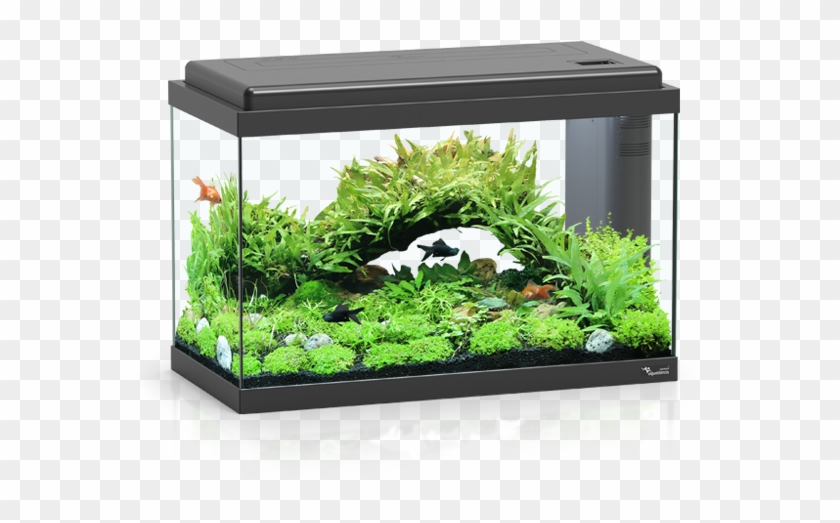 Advance Led Aquatlantis Aquarium Aquariums Terrariums - Acuarios De 40 Litros Clipart #4121538