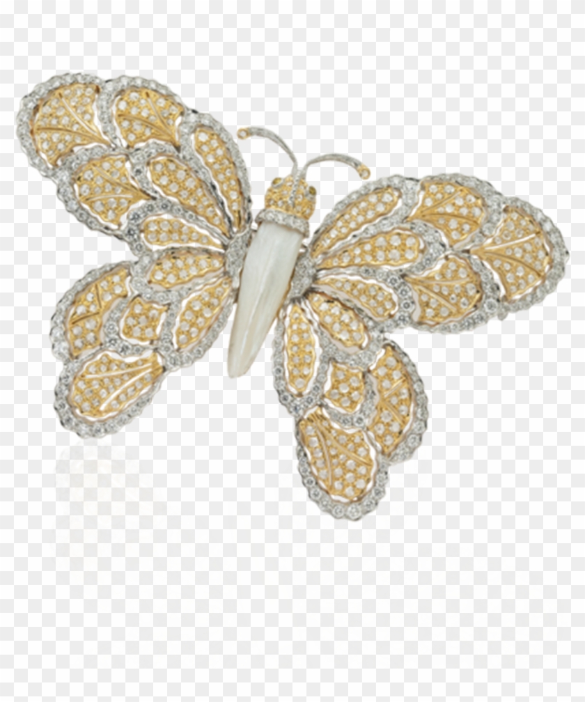 View Spilla Farfalla G6475 - Brooch Clipart