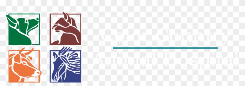 Graphic Design Clipart