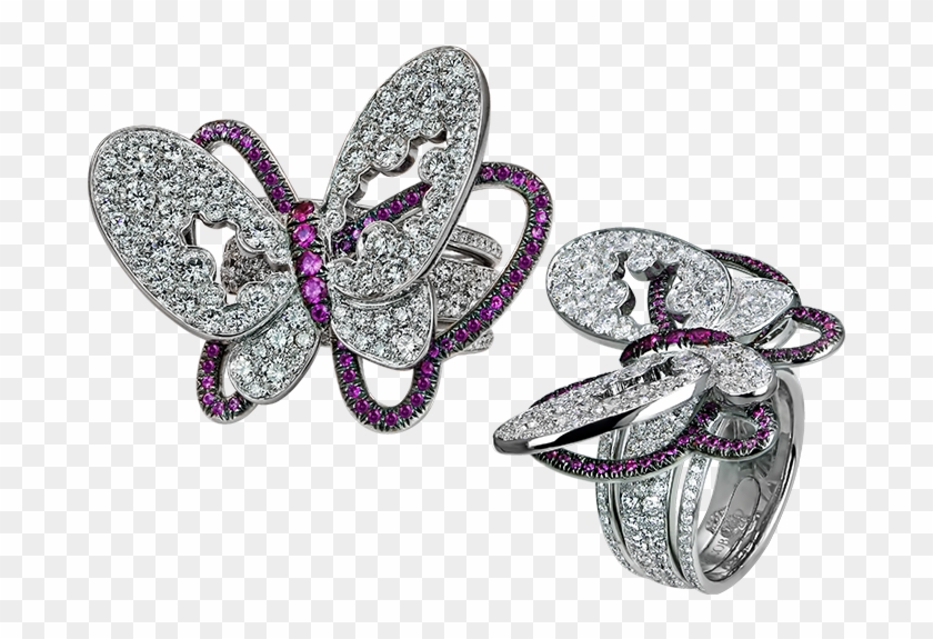 Specifications - Butterfly Clipart #4123386