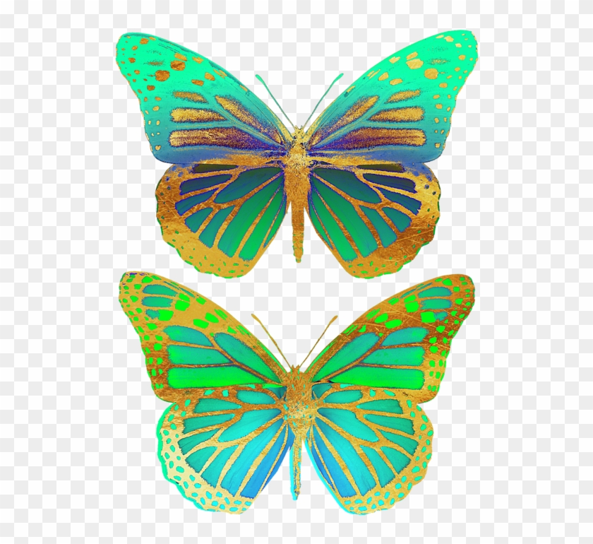 Click And Drag To Re-position The Image, If Desired - Lycaenid Clipart