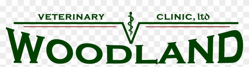 Https - Wpengine - Netdna Ssl - Com/wp - Graphic Design Clipart