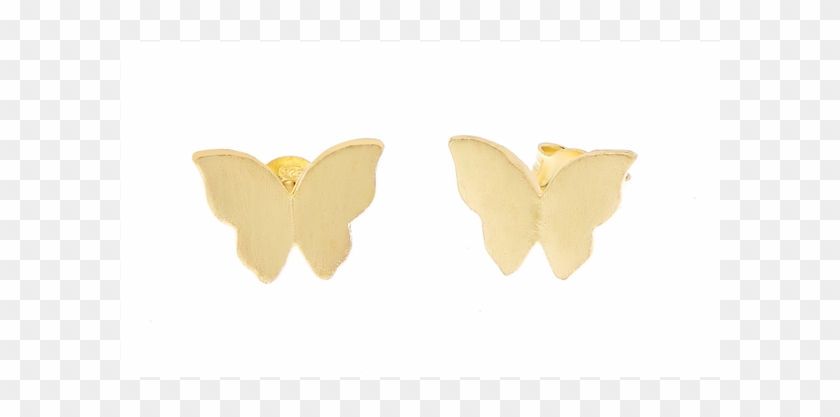 Collections - Pieridae Clipart