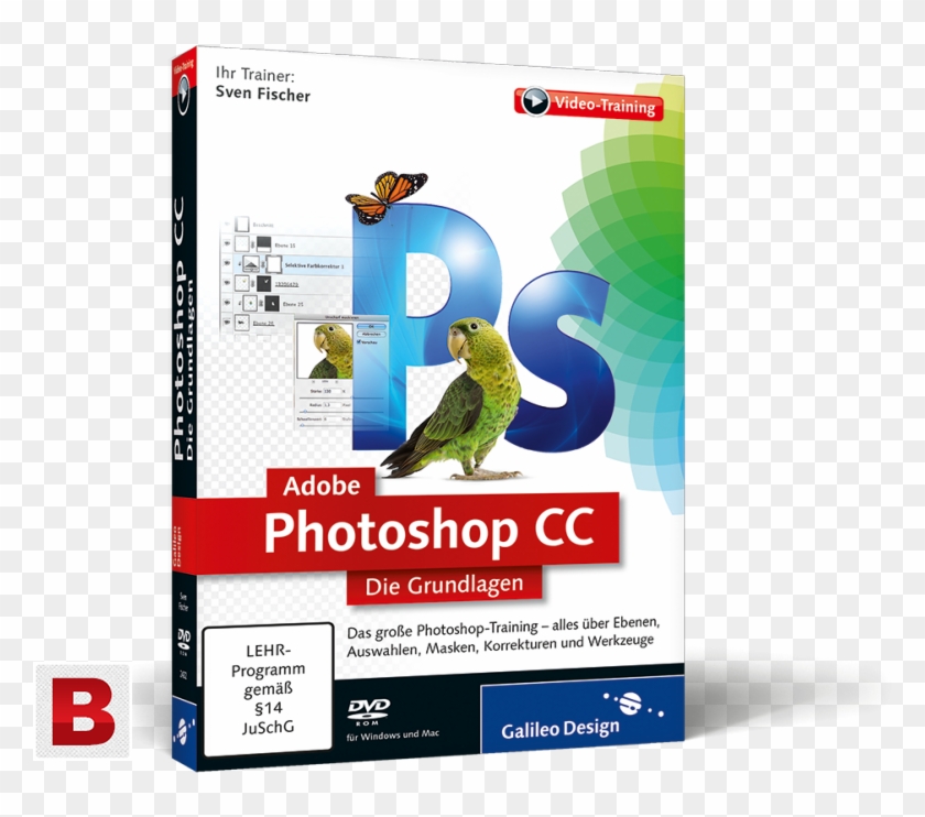 Ad Pictures Of Learn Adobe After Effect Sc-6 In Urdu - Programmieren Lernen Python Clipart