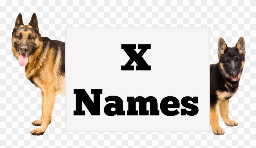 Girl Names - Gambar Cania Citta Sexi Clipart