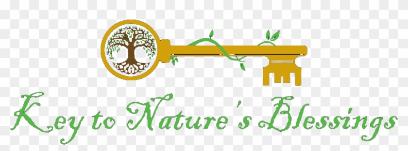 Key To Nature's Blessings - Theranaka Clipart #4127294