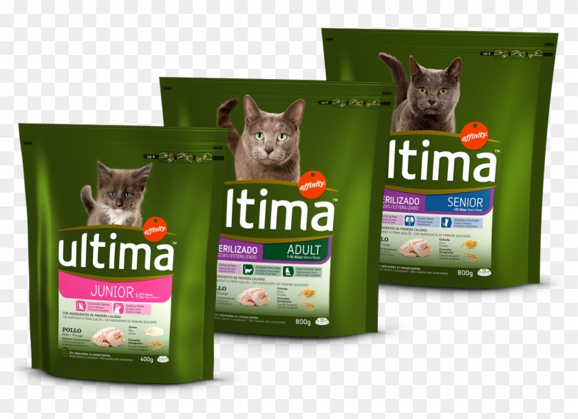 Triptico-gatos - Comida Gatos Esterilizados Ultima Clipart