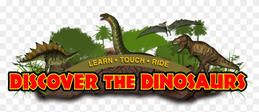 Photos By Tammie Arroyo, Aff-usa - Lesothosaurus Clipart #4129244