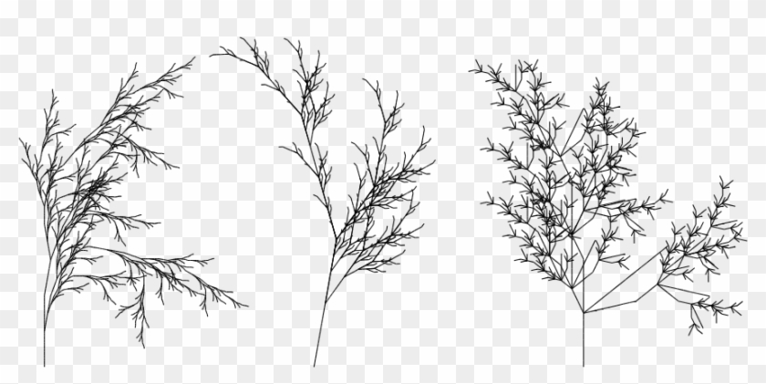 Transformation Drawing Tree - Twig Clipart #4129551